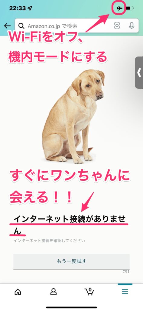 Amazon インターネット接続がありません