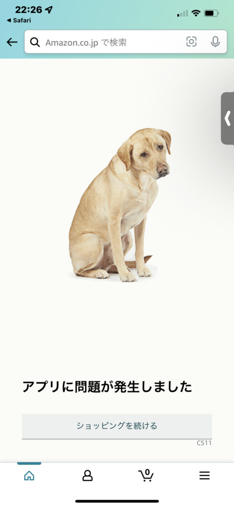 amazon ラブラドール