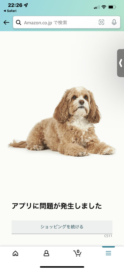 amazon 犬種不明